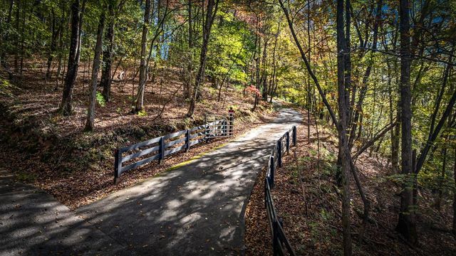 212 Dogpatch Lane, Blue Ridge, GA 30513