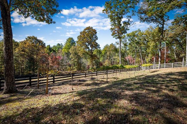 212 Dogpatch Lane, Blue Ridge, GA 30513