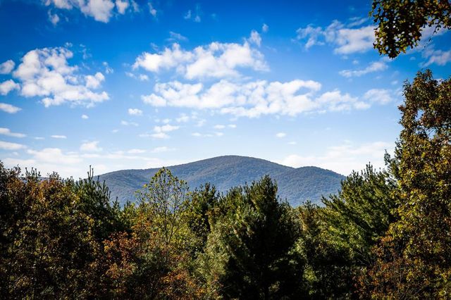 212 Dogpatch Lane, Blue Ridge, GA 30513