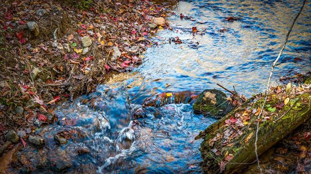 212 Dogpatch Lane, Blue Ridge, GA 30513