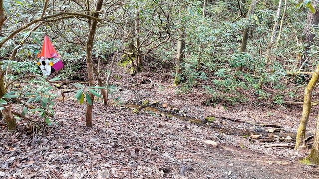 520 Farmer Drive, Murphy, NC 28906