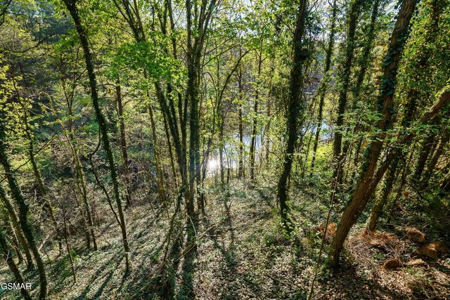 2306 Bonnie Lane, Sevierville, TN 37876