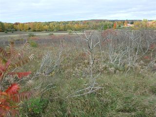 18155 Summerset Court, Shelby, MI 49455