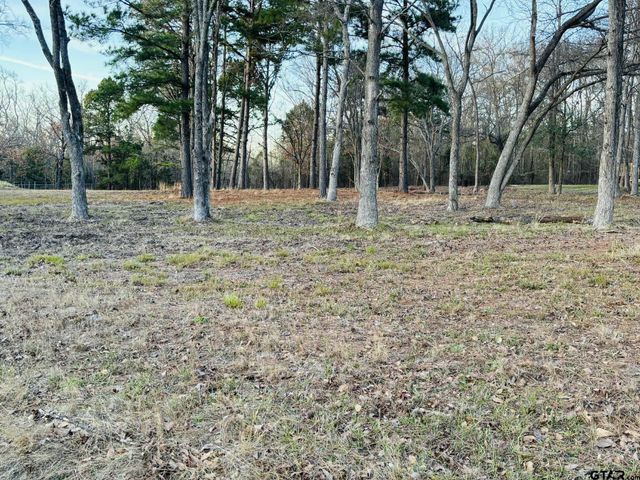 0 CR 2269, Mineola, TX 75773