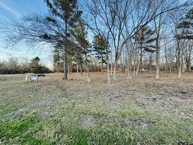 0 CR 2269, Mineola, TX 75773