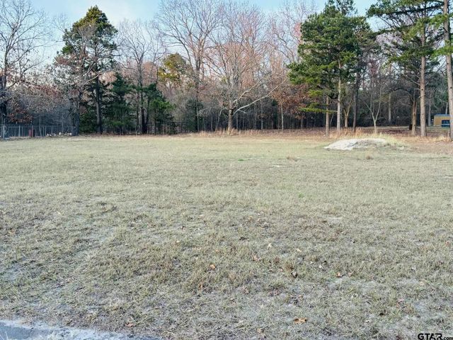 0 CR 2269, Mineola, TX 75773