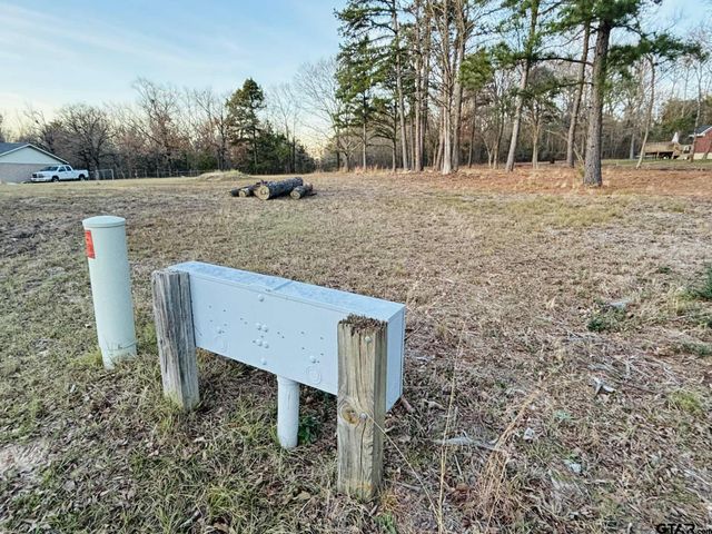 0 CR 2269, Mineola, TX 75773