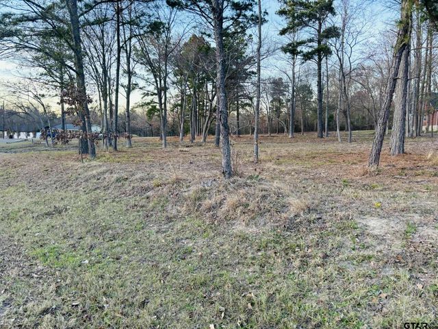 0 CR 2269, Mineola, TX 75773
