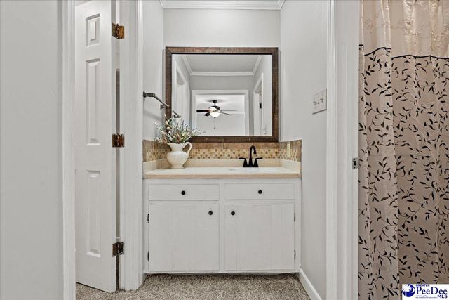 305 Virginia Ave, Cheraw, SC 29520