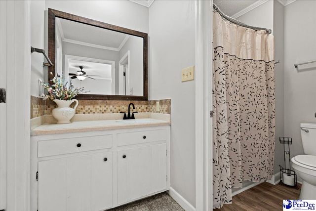 305 Virginia Ave, Cheraw, SC 29520