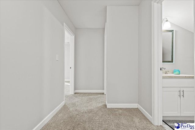 305 Virginia Ave, Cheraw, SC 29520