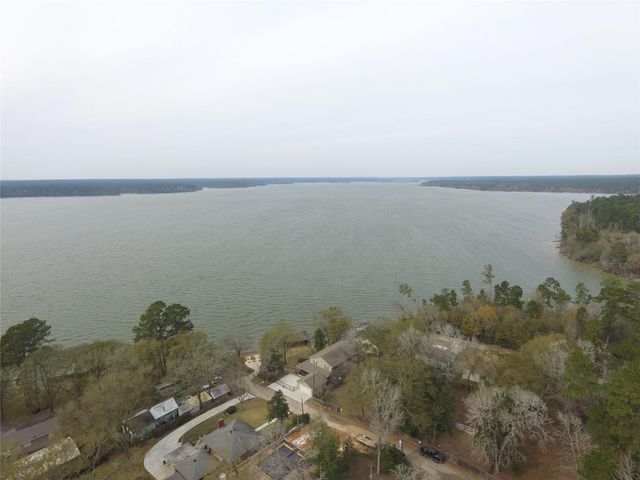 14436 Henry Calfee Drive, Willis, TX 77318