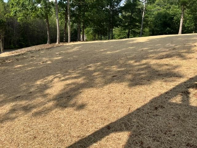 42 Robins Nest Way, Young Harris, GA 30582