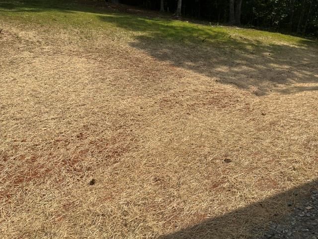 42 Robins Nest Way, Young Harris, GA 30582