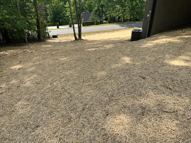 42 Robins Nest Way, Young Harris, GA 30582