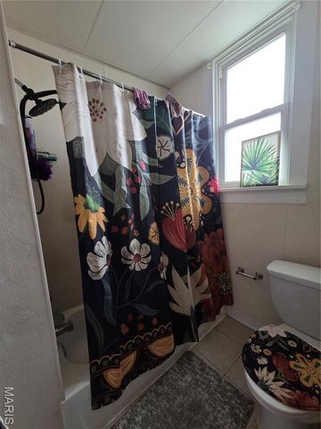 3507 Central Place, St Louis, MO 63121