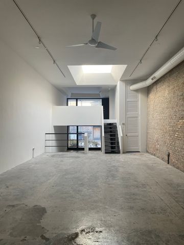 1839 S Halsted Street, Chicago, IL 60608