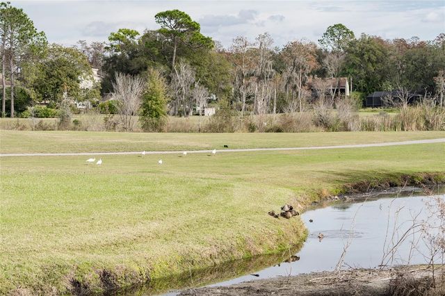 4302 CARROLLWOOD VILLAGE DRIVE, Tampa, FL 33618