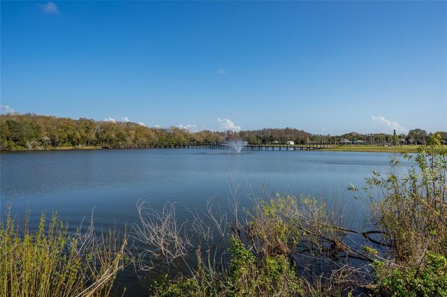 4302 CARROLLWOOD VILLAGE DRIVE, Tampa, FL 33618