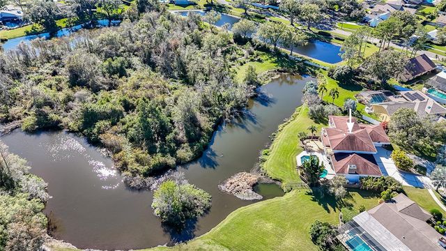 4302 CARROLLWOOD VILLAGE DRIVE, Tampa, FL 33618