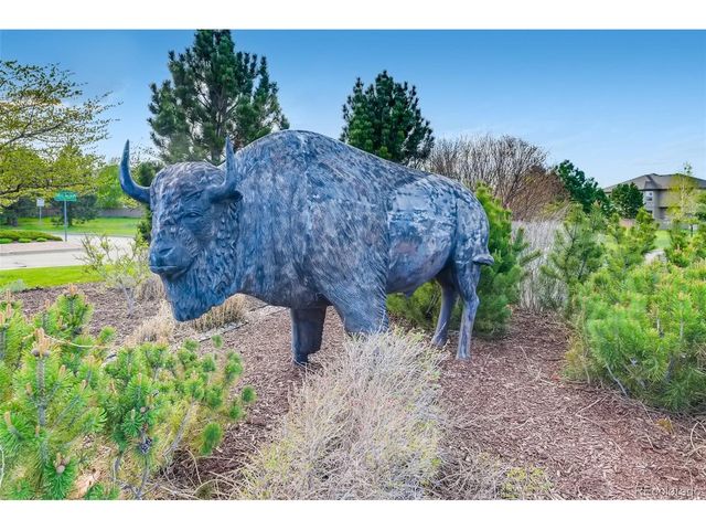 12441 Turquoise Terrace Pl, Castle Pines, CO 80108