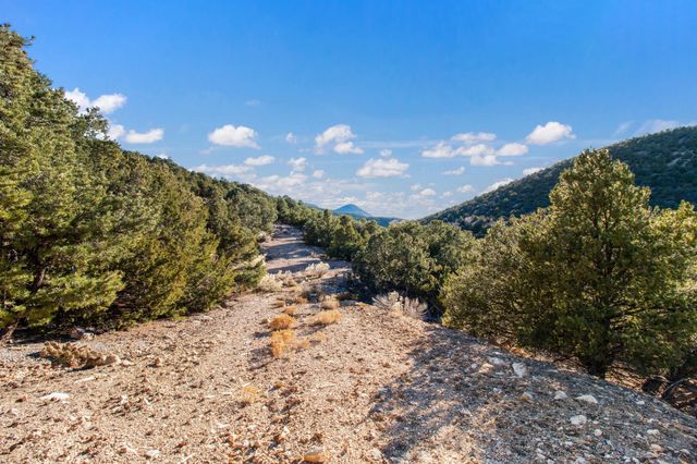 729 PASEO DE FLORENCIO, Santa Fe, NM 87501