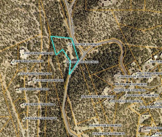 729 PASEO DE FLORENCIO, Santa Fe, NM 87501