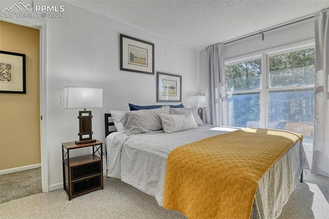 379 Raspberry Lane, Monument, CO 80132