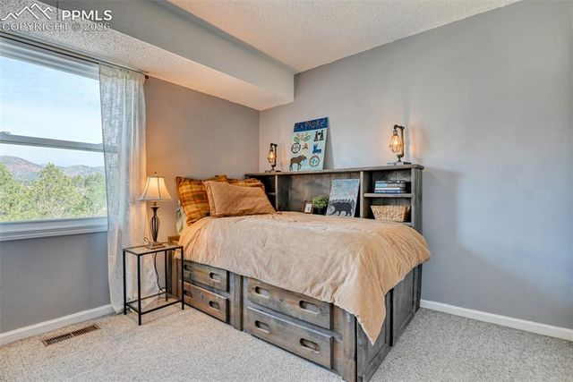 379 Raspberry Lane, Monument, CO 80132