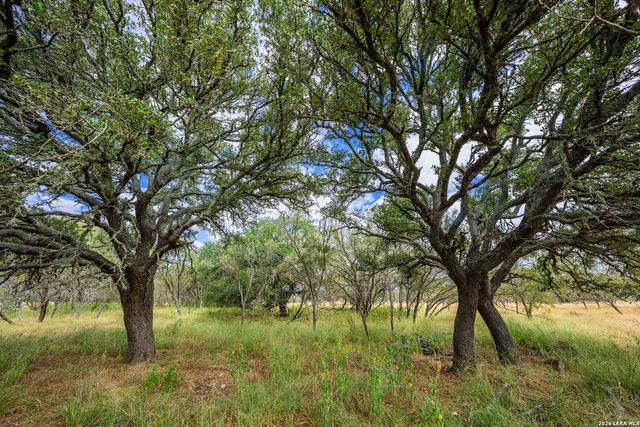 6754 North Grape Creek, Fredericksburg, TX 78624