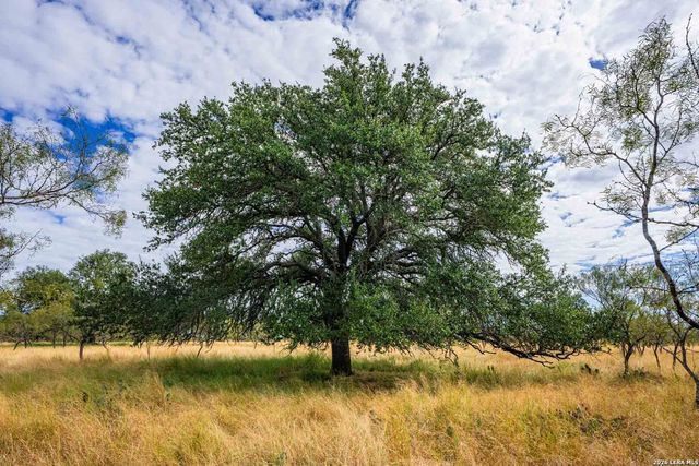 6754 North Grape Creek, Fredericksburg, TX 78624