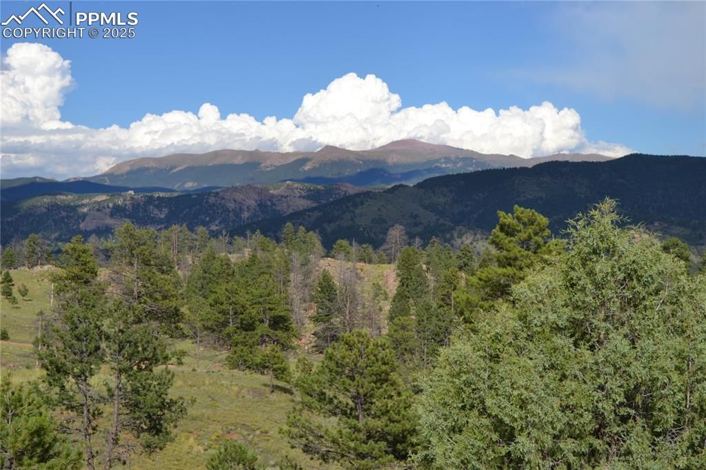 Golden Eagle Heights, Florissant, CO 80816 — exterior