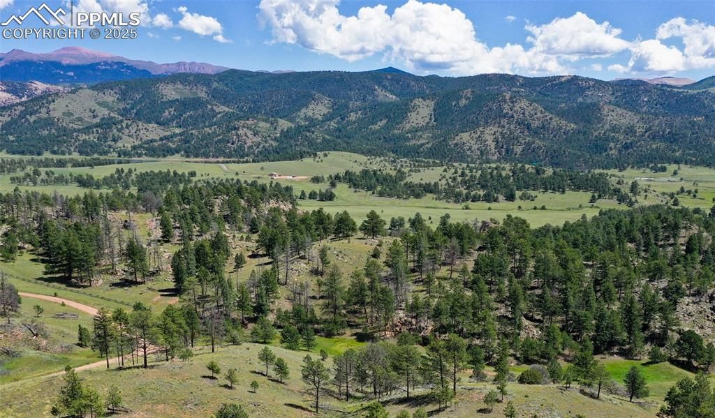 Golden Eagle Heights, Florissant, CO 80816 — photo 2
