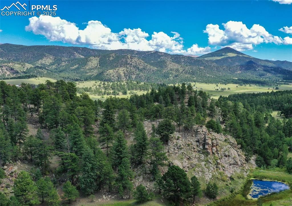 Golden Eagle Heights, Florissant, CO 80816 — photo 3