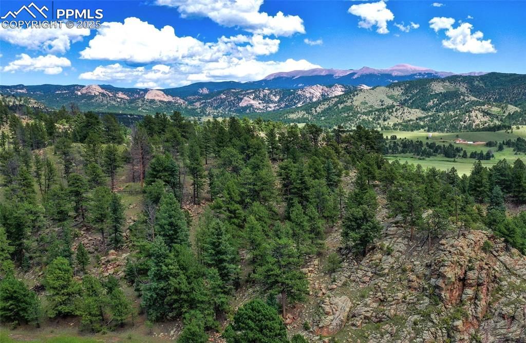 Golden Eagle Heights, Florissant, CO 80816 — photo 4