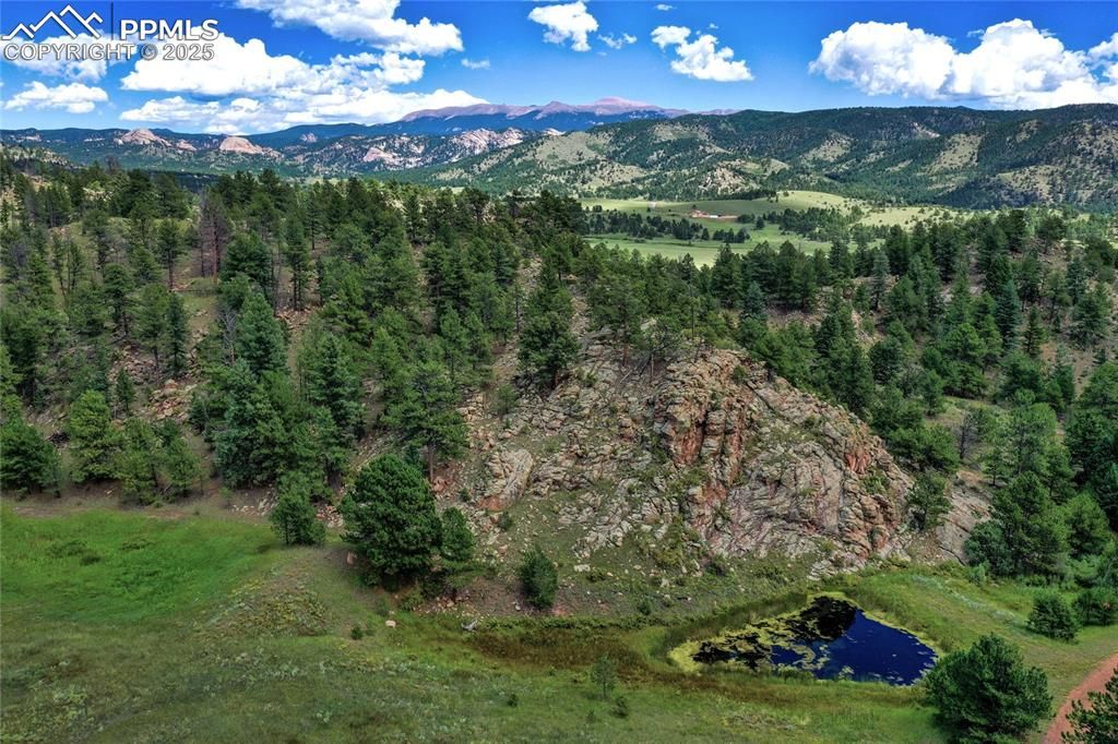 Golden Eagle Heights, Florissant, CO 80816 — photo 5