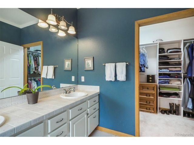 1590 Longview Cir, Monument, CO 80132