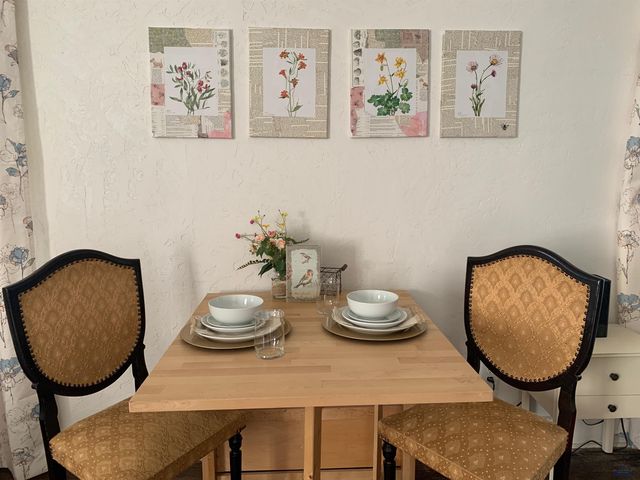 1110 MT RUSHMORE RD, Rapid City, SD 57701