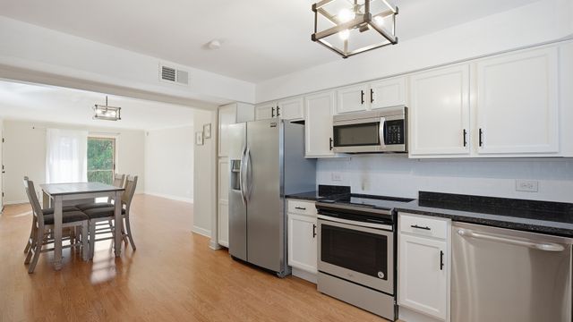 9510 S 86th Avenue 305, Hickory Hills, IL 60457