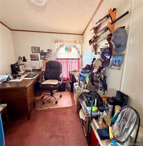 125 12th Street, Fairplay, CO 80440