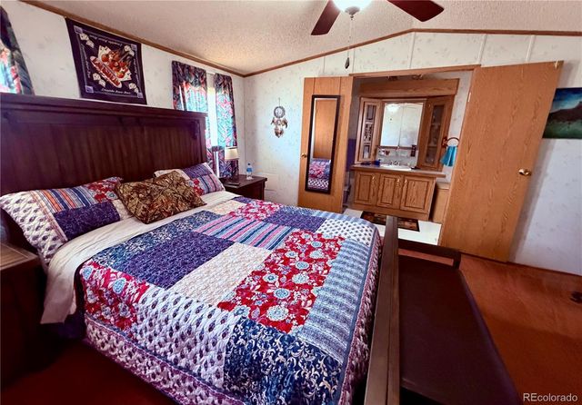 125 12th Street, Fairplay, CO 80440
