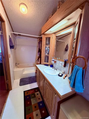 125 12th Street, Fairplay, CO 80440