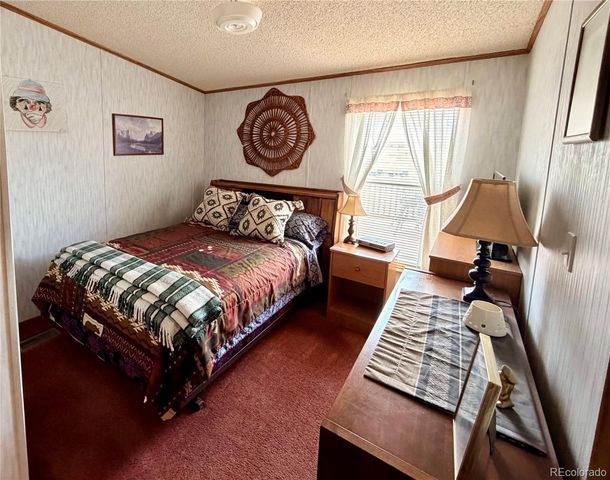 125 12th Street, Fairplay, CO 80440