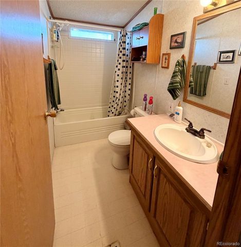 125 12th Street, Fairplay, CO 80440