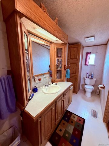 125 12th Street, Fairplay, CO 80440