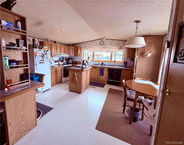 125 12th Street, Fairplay, CO 80440