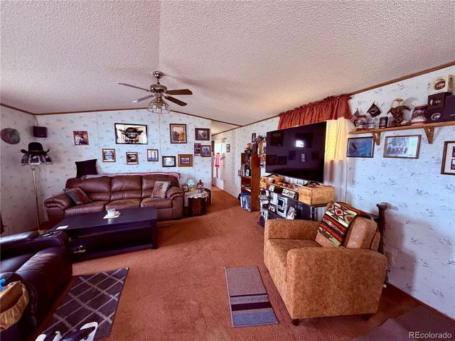 125 12th Street, Fairplay, CO 80440