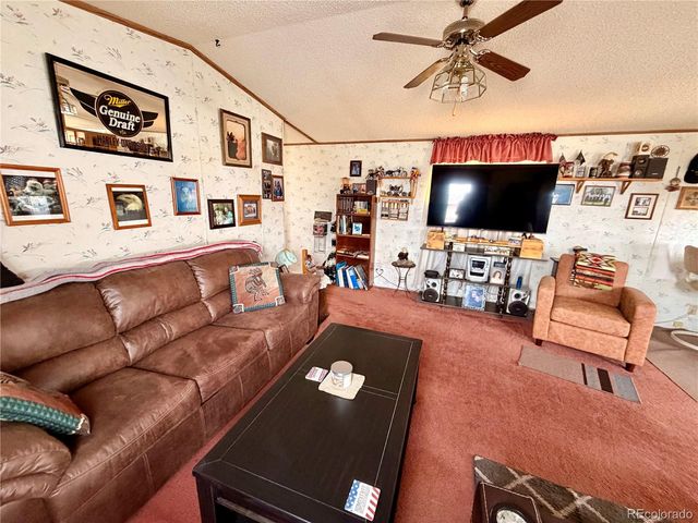 125 12th Street, Fairplay, CO 80440