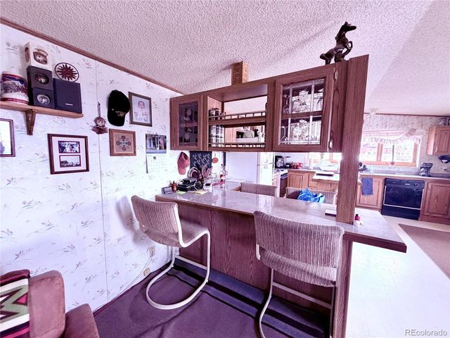 125 12th Street, Fairplay, CO 80440