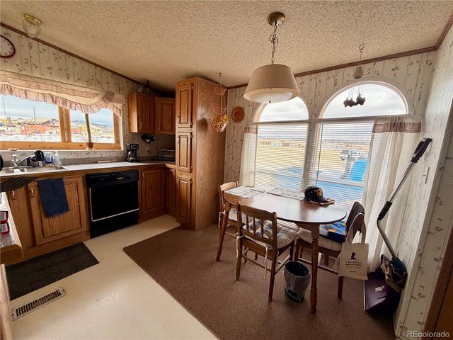 125 12th Street, Fairplay, CO 80440